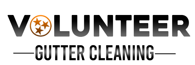 Volunteer Gutter Cleaning